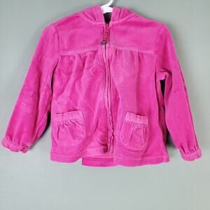 Gymboree Fall Forest Pink Velour Hoodie Size 3T